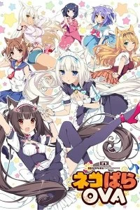 Постер Кошачий рай (Nekopara)