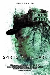 Постер Духи в темноте (Spirits in the Dark)