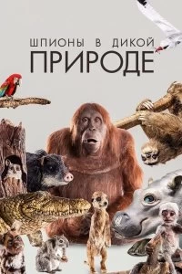 Постер Шпионы в дикой природе (Spy in the Wild)