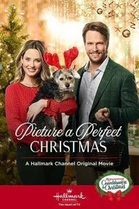 Постер Образ идеального Рождества (Picture a Perfect Christmas)