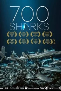 Постер 700 акул (700 Sharks)