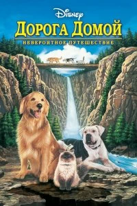 Постер Дорога домой: Невероятное путешествие (Homeward Bound: The Incredible Journey)