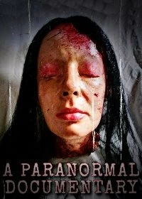 Постер Паранормальная документалка (A Paranormal Documentary)