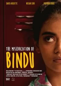 Постер Неправильное воспитание Бинду (The MisEducation of Bindu)