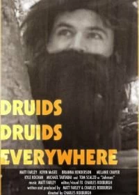 Постер Друиды. Друиды повсюду (Druids Druids Everywhere)