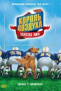 Постер Король воздуха: Золотая лига (Air Bud: Golden Receiver)