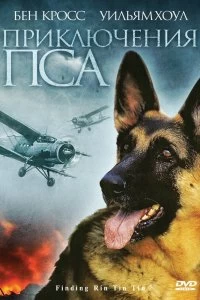 Постер Приключения пса (Finding Rin Tin Tin)