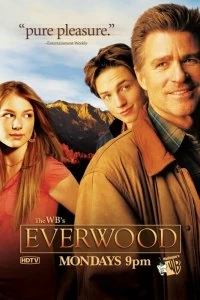 Постер Любовь вдовца (Everwood)