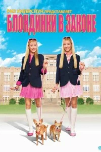 Постер Блондинки в законе (Legally Blondes)