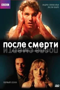 Постер После смерти (Afterlife)