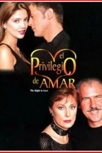 Постер Привилегия любить (El privilegio de amar)