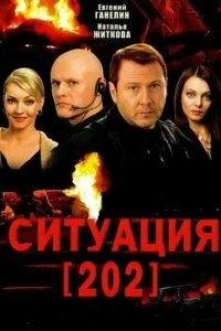 Постер Ситуация 202 