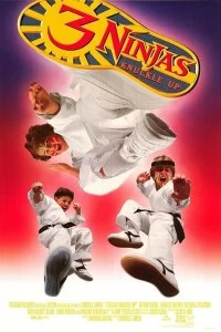 Постер Три ниндзя: Костяшки вверх (3 Ninjas: Knuckle Up)