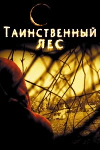 Постер Таинственный лес (The Village)