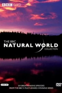 Постер BBC: Живой мир (Natural World)