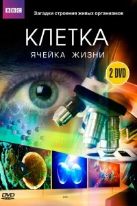 Постер BBC: Клетка (The Cell)