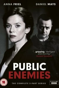 Постер Враги общества (Public Enemies)