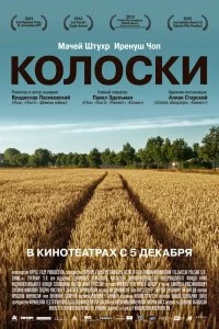 Постер Колоски (Poklosie)