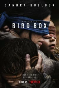 Постер Птичий короб (Bird Box)