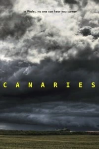 Постер Канарейки (Canaries)