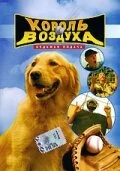 Постер Король воздуха: Седьмая подача (Air Bud: Seventh Inning Fetch)