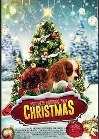 Постер Проект: Щенки на Рождество (Project: Puppies for Christmas)