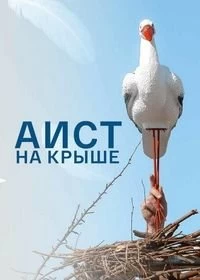 Постер Аист на крыше 