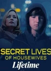 Постер Тайная жизнь домохозяек (Secret Lives of Housewives)