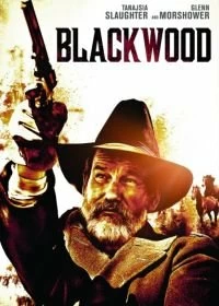 Постер Чернолесье (BlackWood)