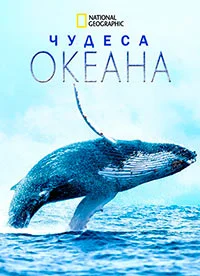 Постер Чудеса океана (Wonders of the Ocean)