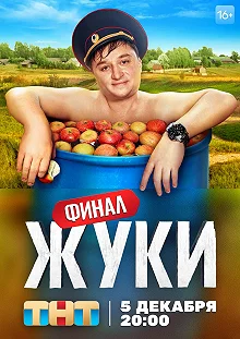 Постер Жуки 