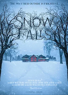 Постер А снег идёт (Snow Falls)