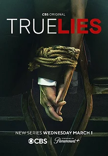 Постер Правдивая ложь (True Lies)