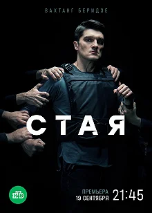 Постер Стая 