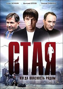 Постер Стая 