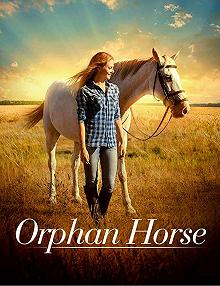 Постер Сиротка (Orphan Horse)