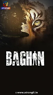 Постер Багин (Baghin)