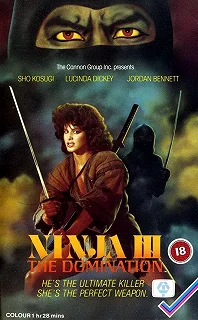 Постер Ниндзя III: Господство (Ninja III: The Domination)