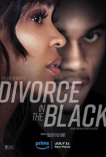 Постер Удачный развод (Divorce in the Black)